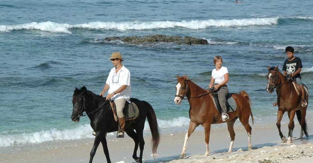 horseback-riding-tours-in-lombok-island.htm