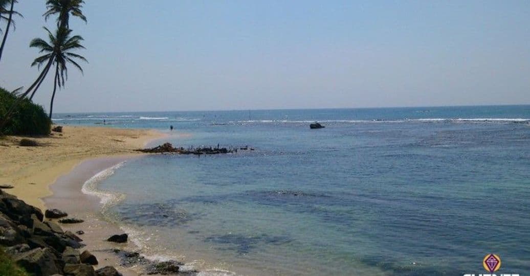 peche-et-barbecue-sur-la-plage-de-mirissa-au-sri-lanka.htm