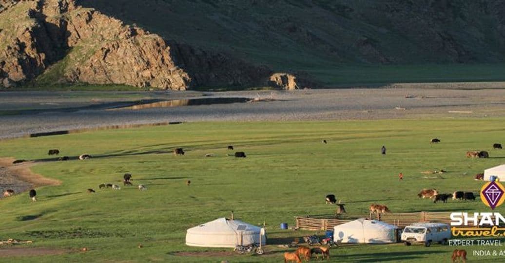 quand-partir-en-mongolie.htm