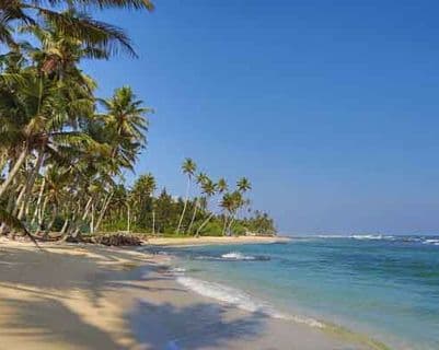 the-activities-offered-in-sri-lankan-beaches.htm