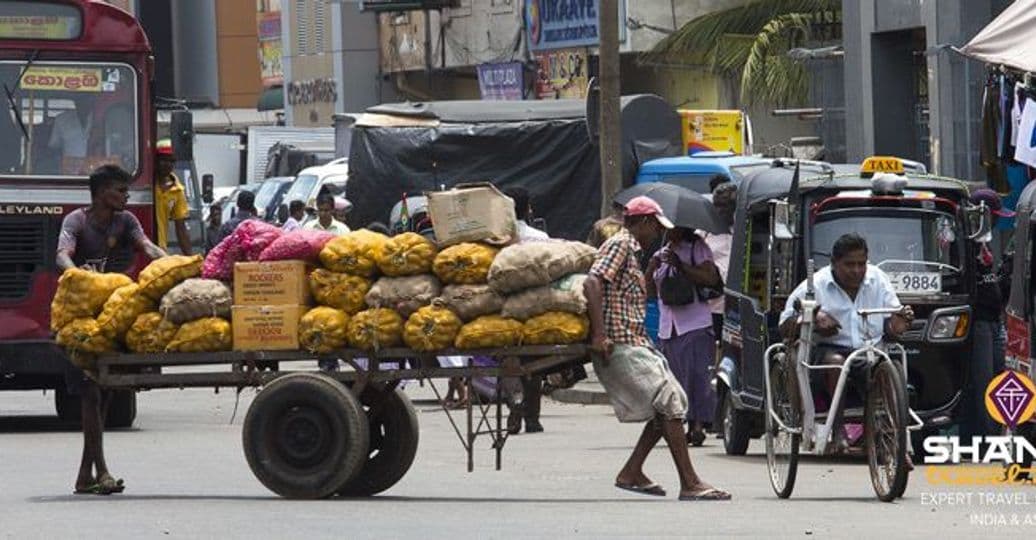 traveling-driver-sri-lanka-2.htm