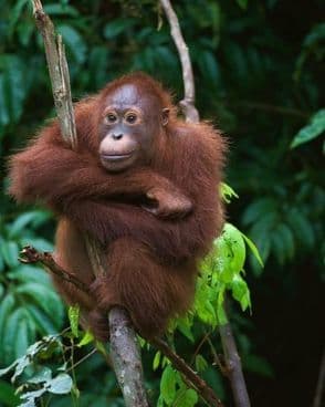 entspannung-natur-und-tierbegegnungen