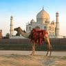 5-bonnes-raisons-de-partir-en-voyage-avec-shanti-travel-en-inde